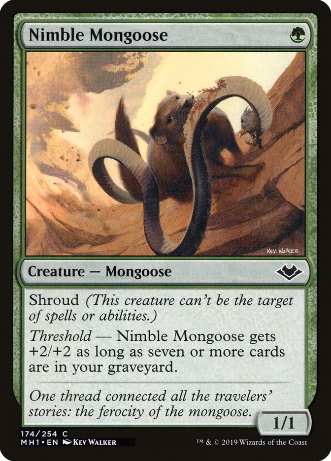 Nimble Mongoose [Modern Horizons] | The CG Realm