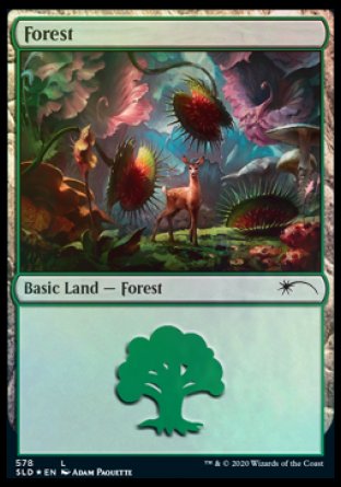 Forest (Predatory) (578) [Secret Lair Drop Promos] | The CG Realm