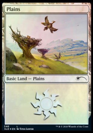 Plains (Feathered Friends) (546) [Secret Lair Drop Promos] | The CG Realm