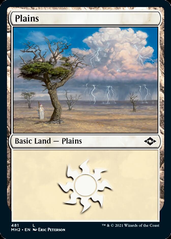 Plains (481) (Foil Etched) [Modern Horizons 2] | The CG Realm