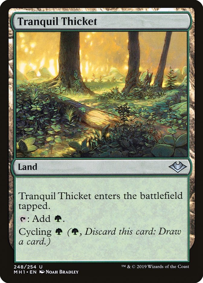 Tranquil Thicket [Modern Horizons] | The CG Realm