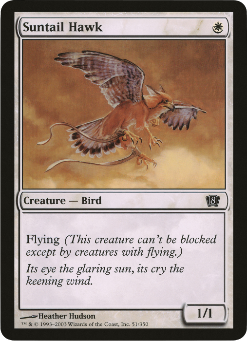 Suntail Hawk (Oversized) [Eighth Edition Box Topper] | The CG Realm