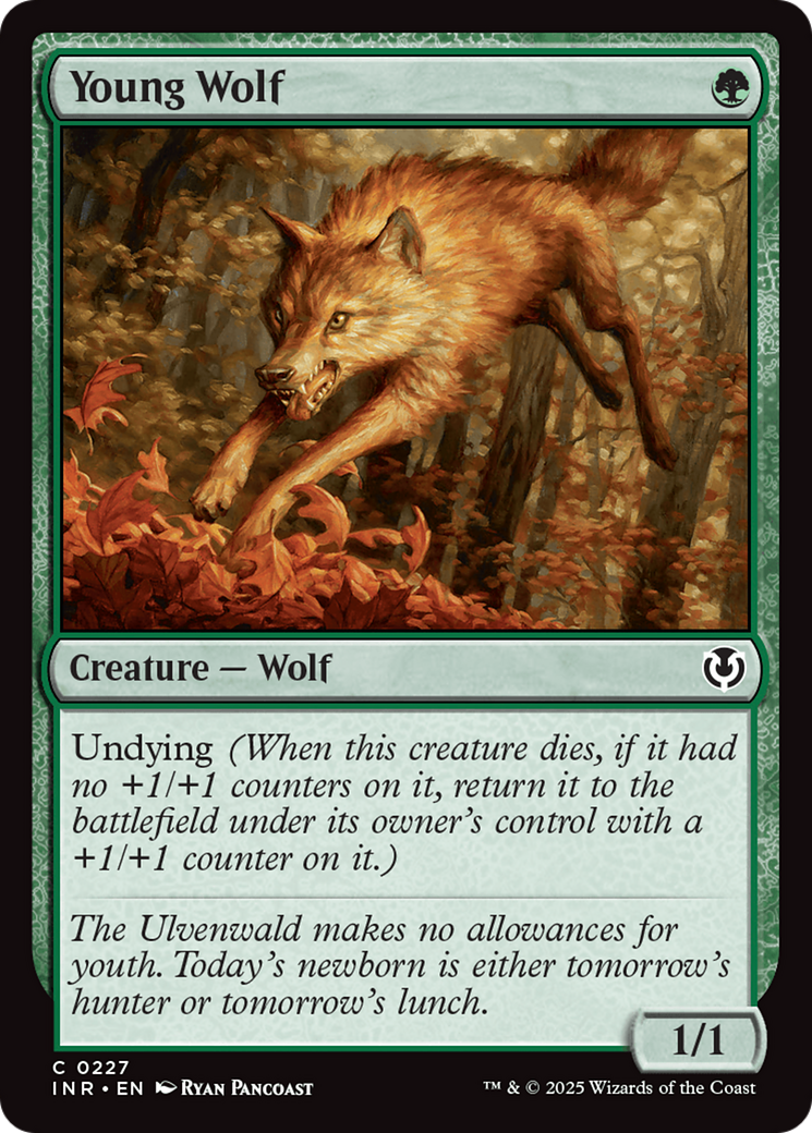 Young Wolf [Innistrad Remastered] | The CG Realm