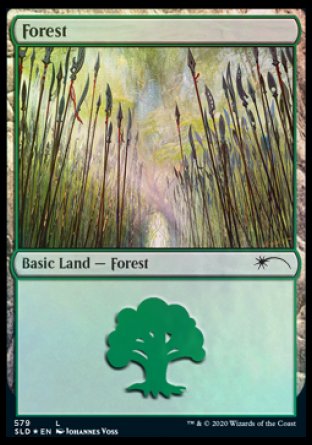 Forest (Elves) (579) [Secret Lair Drop Promos] | The CG Realm