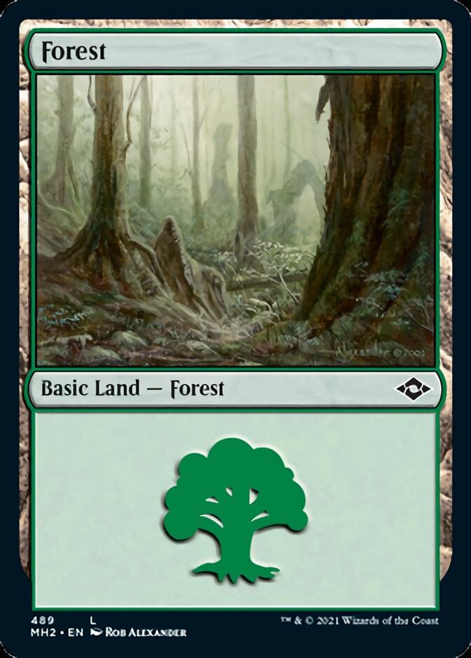 Forest (489) (Foil Etched) [Modern Horizons 2] | The CG Realm