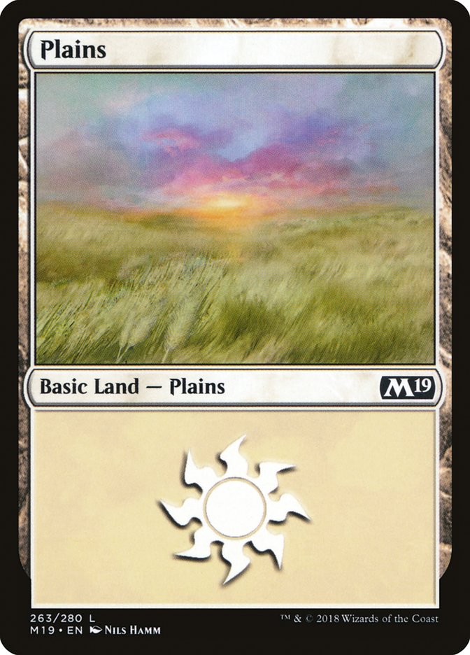 Plains (263) [Core Set 2019] | The CG Realm