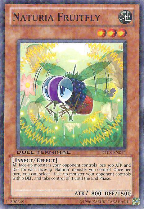 Naturia Fruitfly [DT03-EN071] Common | The CG Realm