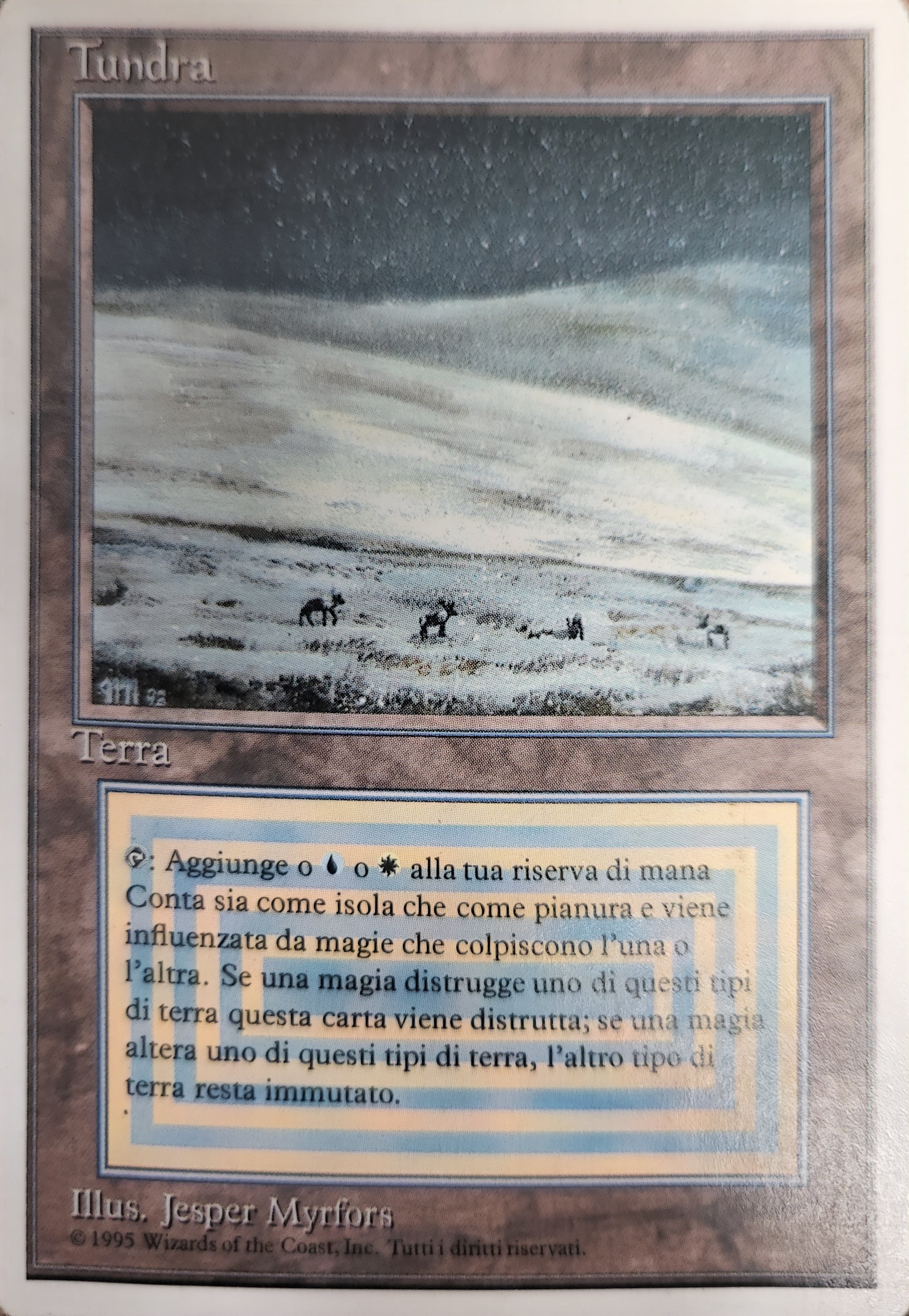 Tundra [Revised Edition (Foreign White Border)] Italian | The CG Realm