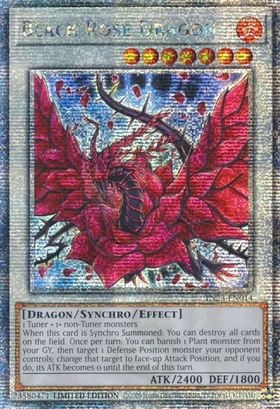 Black Rose Dragon [TN23-EN014] Quarter Century Secret Rare | The CG Realm