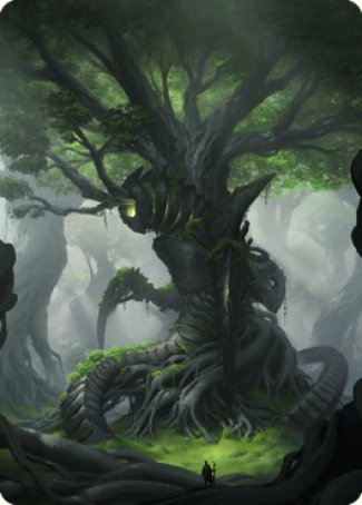 Forest Art Card [The Brothers' War Art Series] | The CG Realm