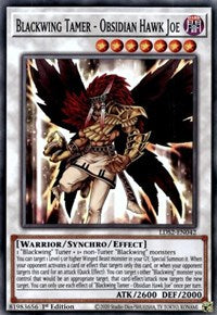 Blackwing Tamer - Obsidian Hawk Joe [LDS2-EN042] Common | The CG Realm