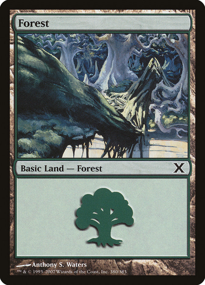 Forest (380) [Tenth Edition] | The CG Realm