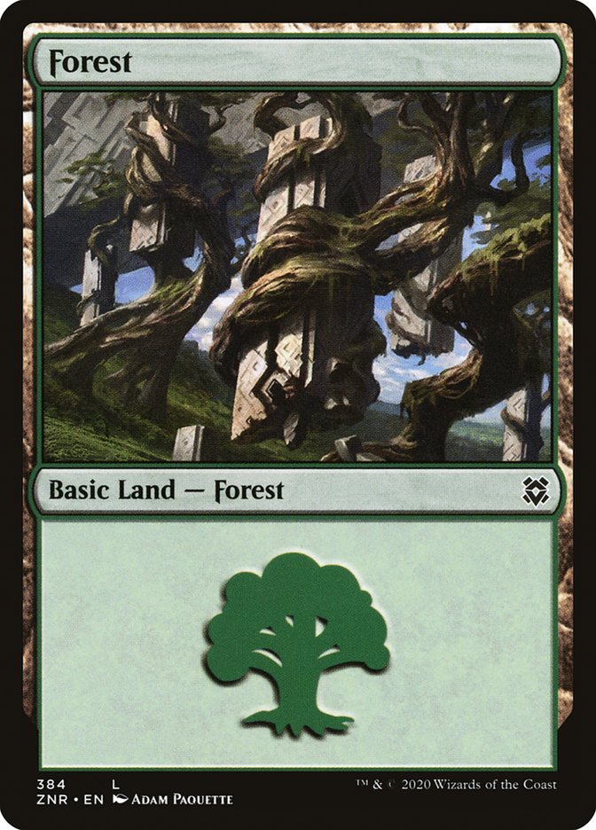 Forest (384) [Zendikar Rising] | The CG Realm