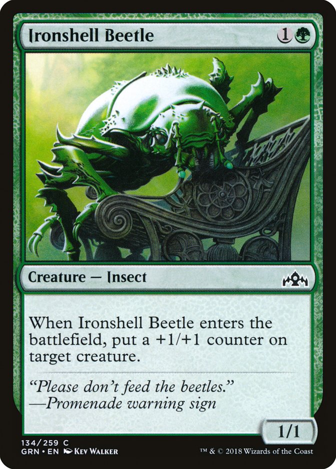 Ironshell Beetle [Guilds of Ravnica] | The CG Realm