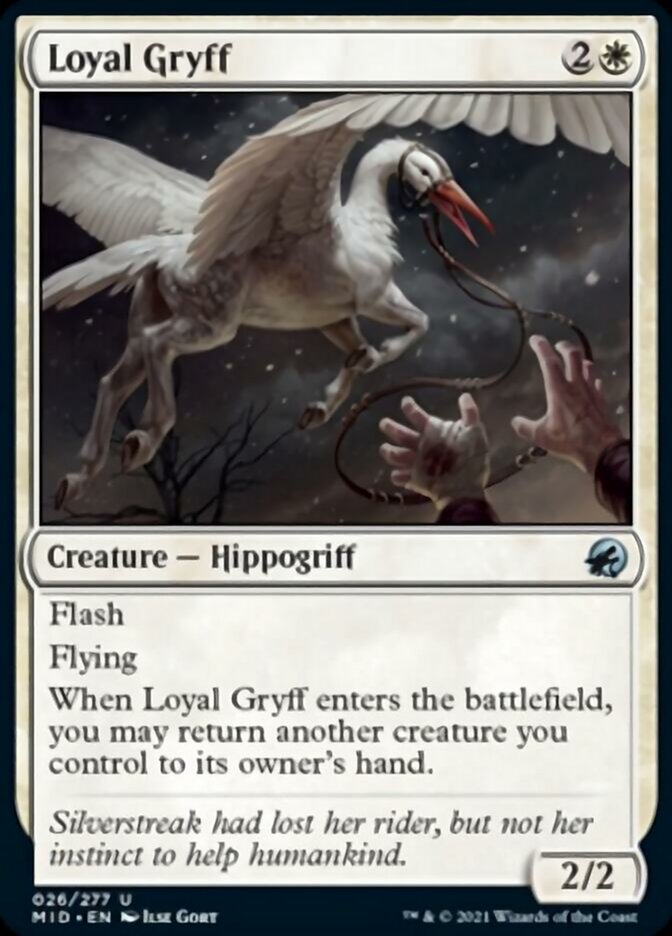 Loyal Gryff [Innistrad: Midnight Hunt] | The CG Realm