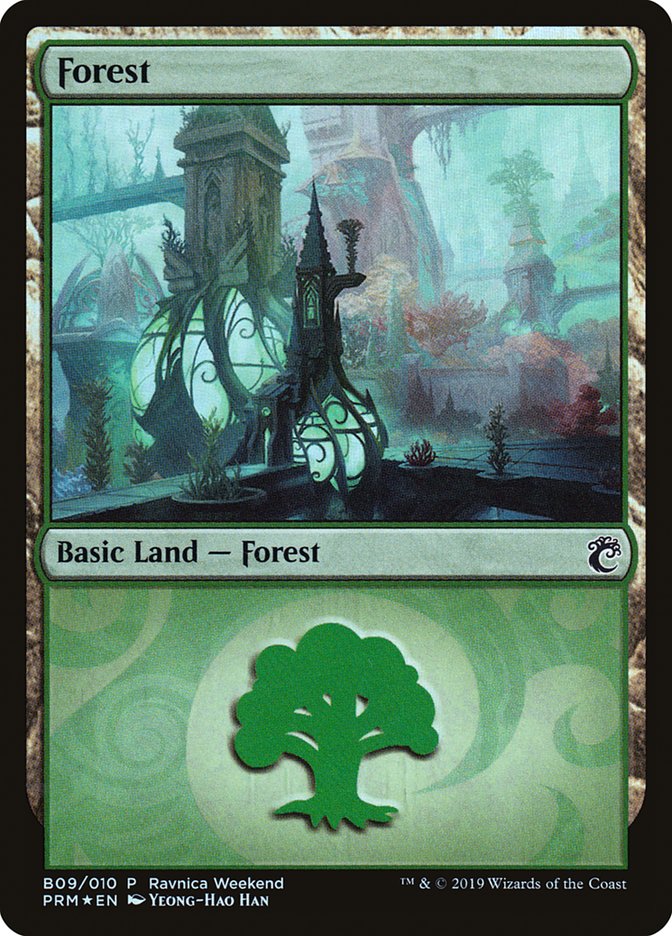 Forest (B09) [Ravnica Allegiance Guild Kit] | The CG Realm