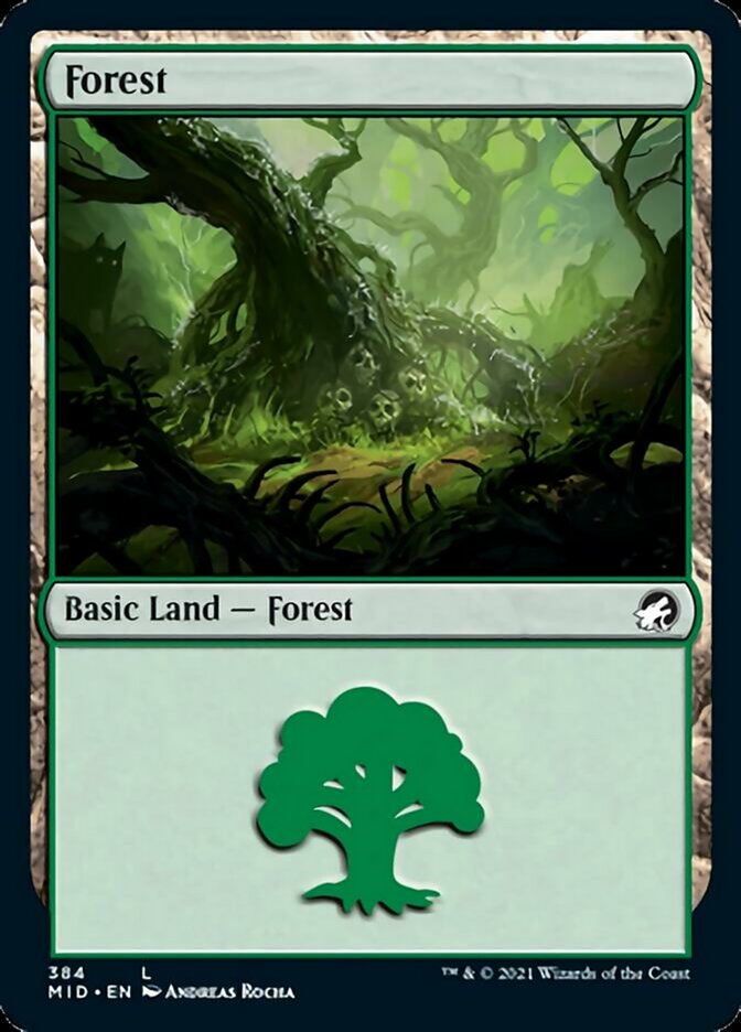 Forest (384) [Innistrad: Midnight Hunt] | The CG Realm