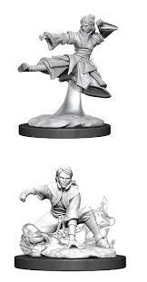 D&D Primed Miniatures Human Monk | The CG Realm