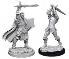 D&D Unpainted Miniatures Human Paladin | The CG Realm