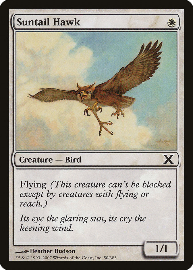 Suntail Hawk [Tenth Edition] | The CG Realm