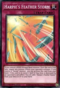 Harpie's Feather Storm [LDS2-EN088] Common | The CG Realm