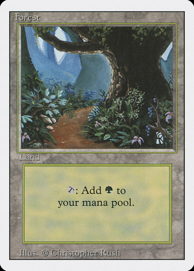 Forest (Flower Path) [Revised Edition] | The CG Realm