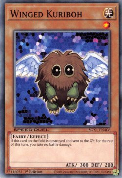 Winged Kuriboh [SGX1-ENA06] Common | The CG Realm