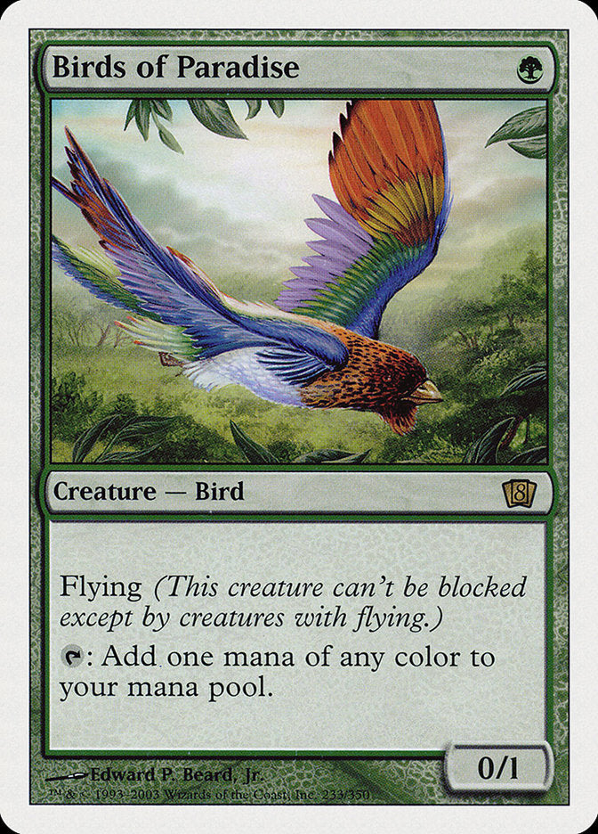 Birds of Paradise [Eighth Edition] | The CG Realm