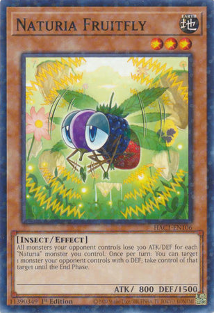 Naturia Fruitfly (Duel Terminal) [HAC1-EN106] Common | The CG Realm